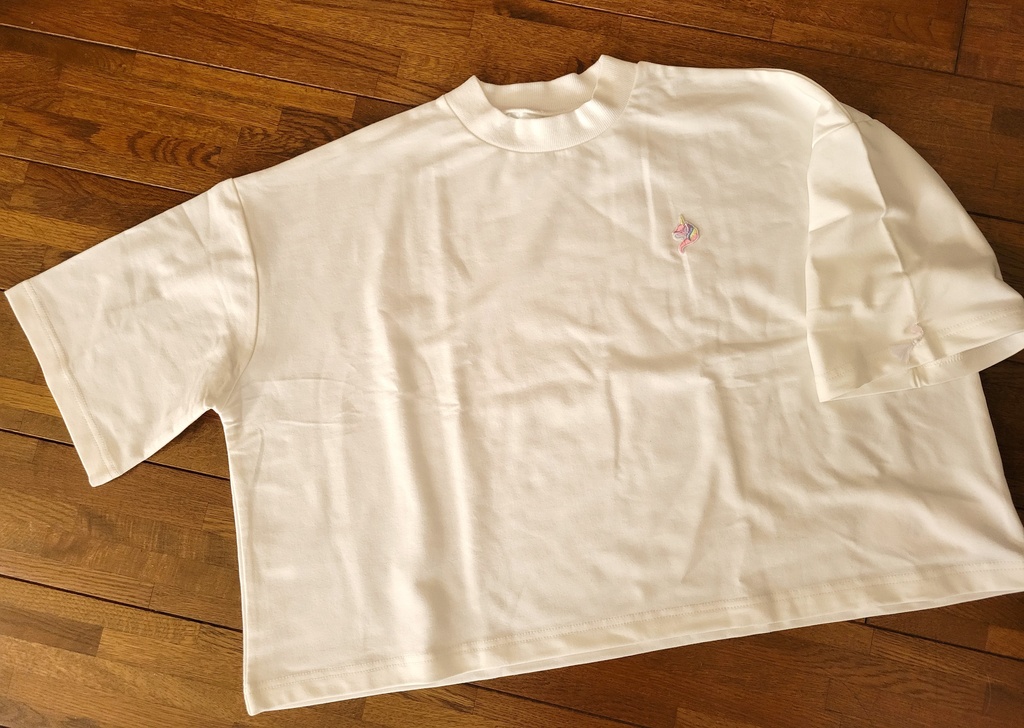 ビッグシルエットTシャツ💓白ペガサス🦄【あんしんBOOTHパック】コンパクト