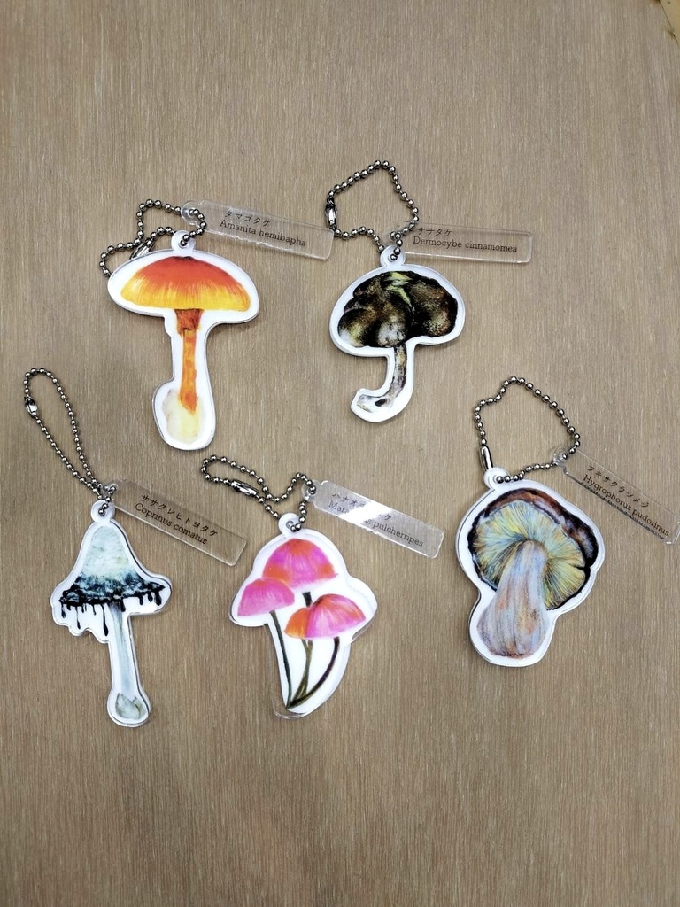 チシオタケ　アクリルキーホルダー