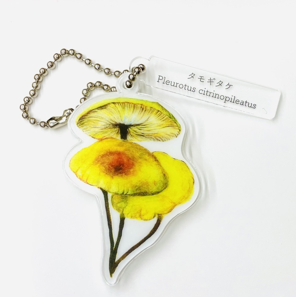 タモギタケ　アクリルキーホルダー