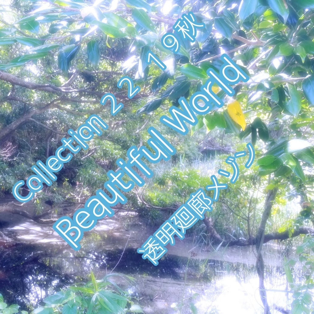 Collection ２２　１９秋「Beautiful World」