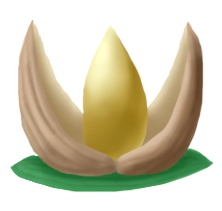 無料の食べ物の画像