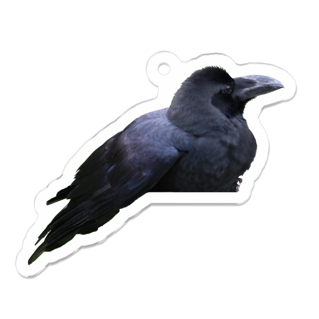 カラス アクリルキーホルダー ①