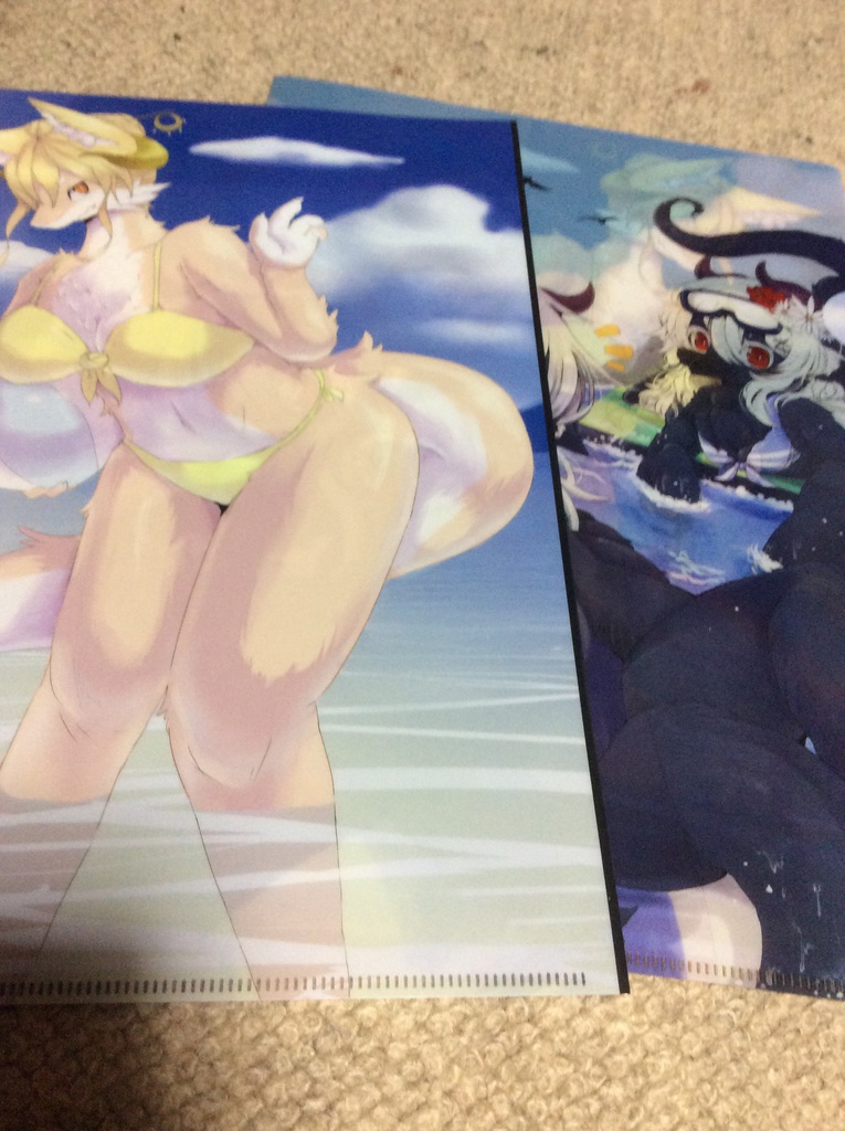 クリアファイル