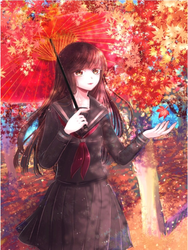 ポストカード 紅葉