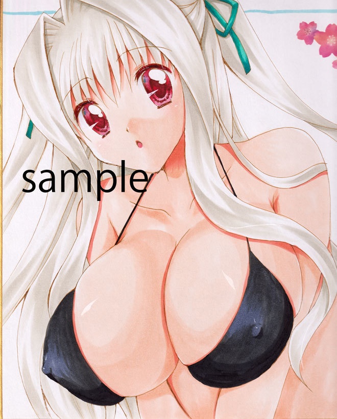 直筆色紙　シャルル　黒