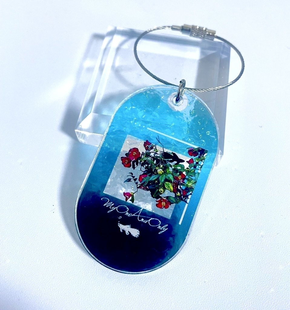 R.I.P.アクキー(夏五)