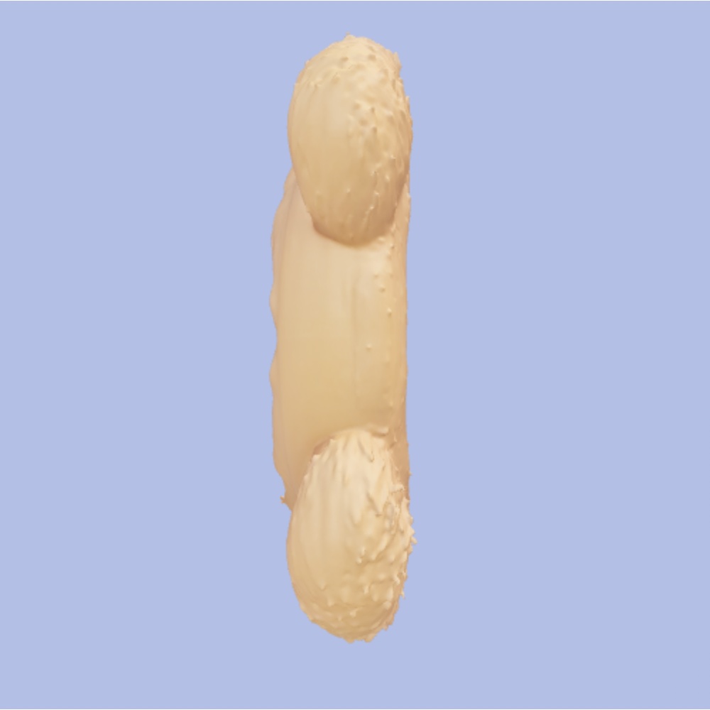 【VRChat想定】熊耳カチューシャ/Bear ear catsuit