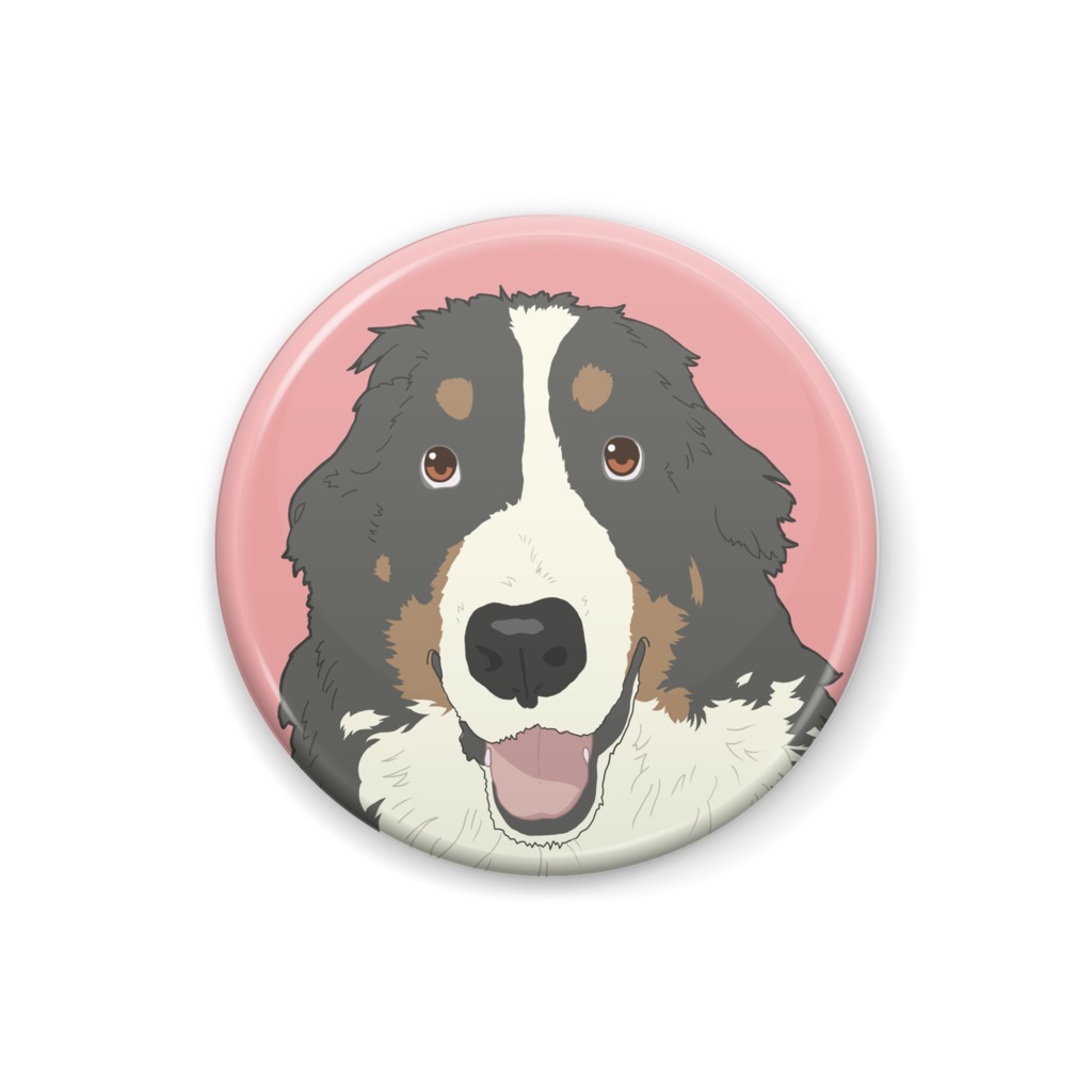 ワクワクな顔のバーニーズの缶バッジ