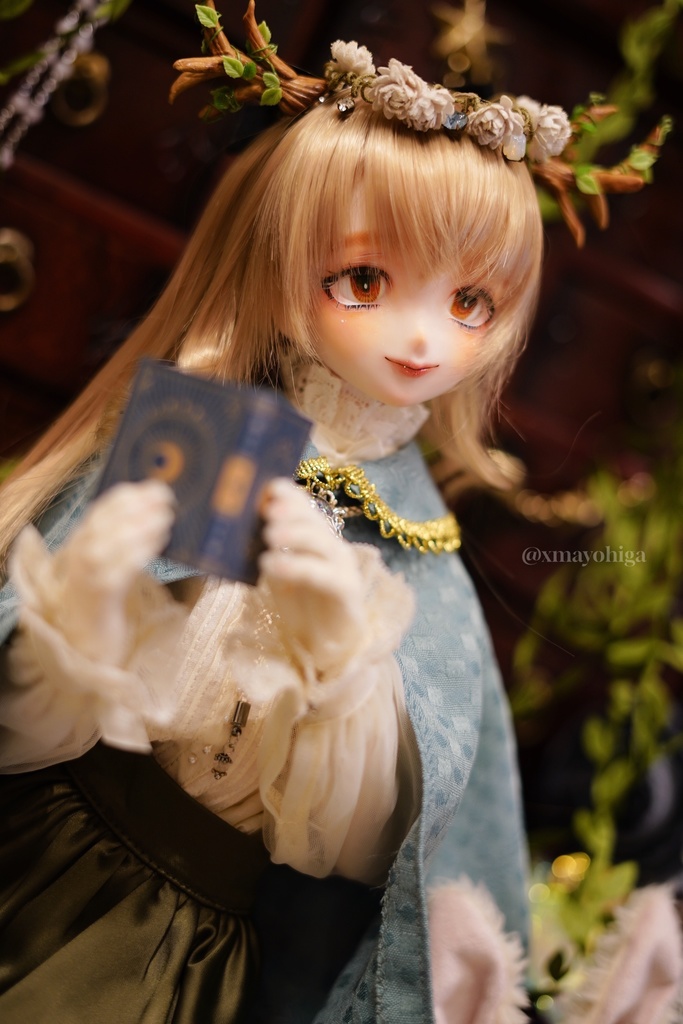 DDH-06 sw 31番目の天使『樹木医』