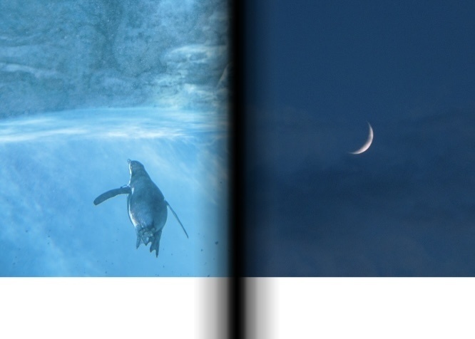 1st作品集「サイダーブルーとメロウピンク」