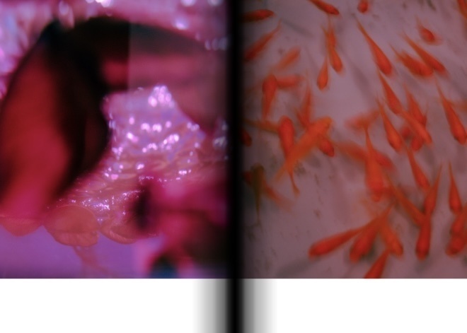 1st作品集「サイダーブルーとメロウピンク」