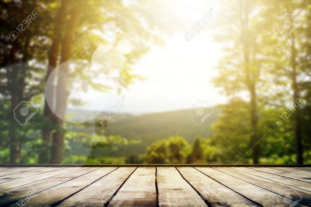 心に響くオルゴールBGM♪癒しと安らぎの音色🍀* ゚