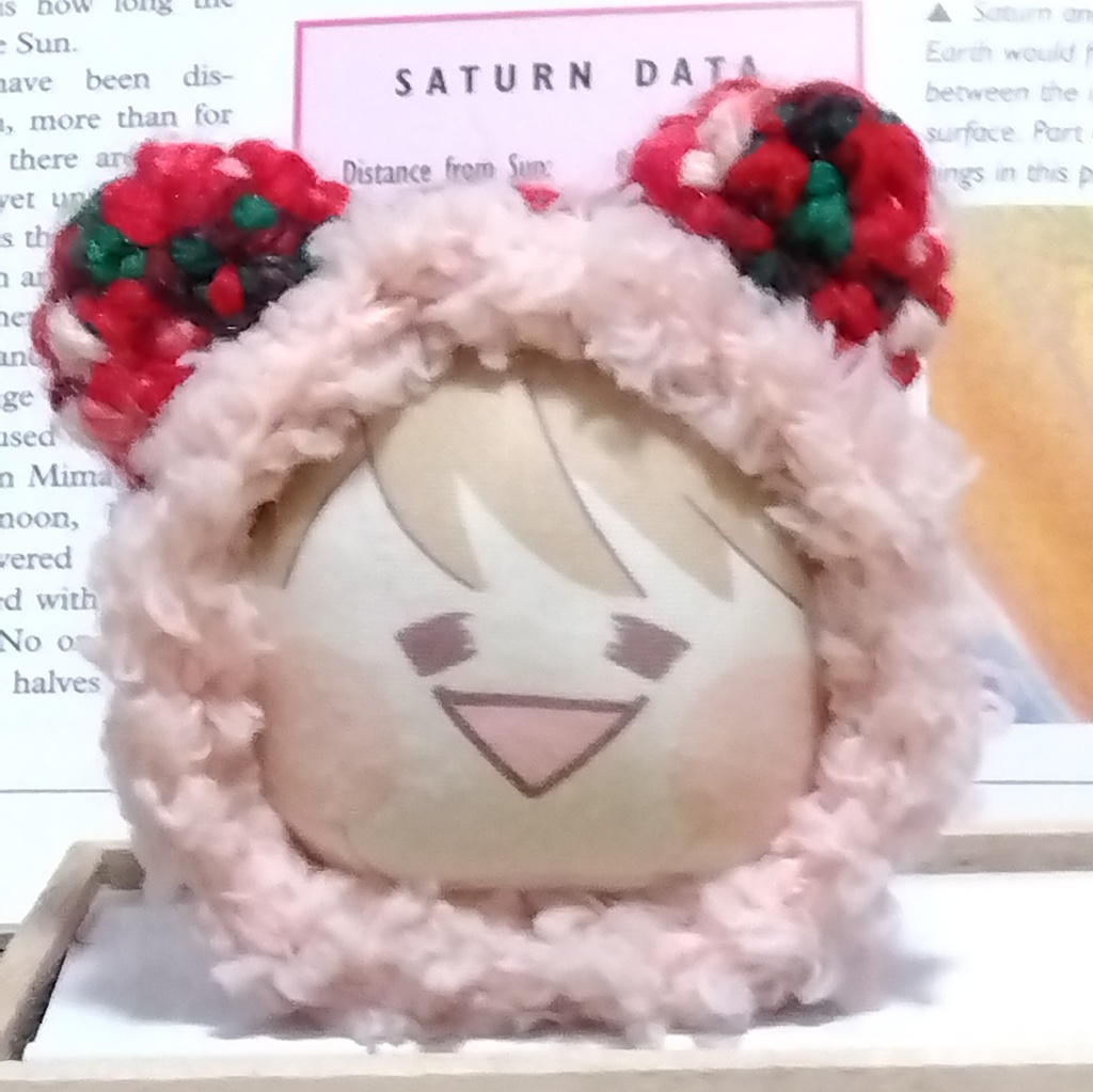 あにずきん用 着ぐるみ ハッピーホリデー