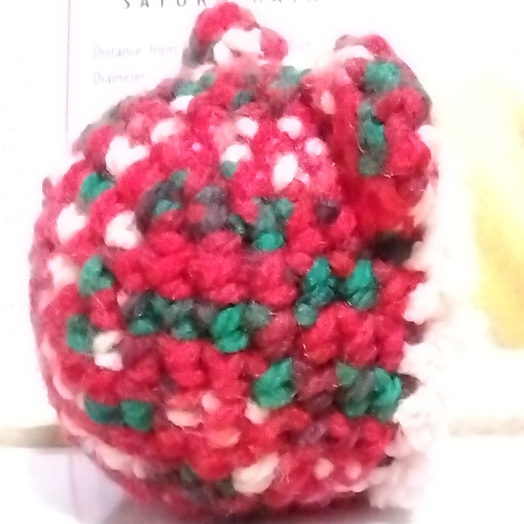 あにずきん用 着ぐるみ ハッピーホリデー