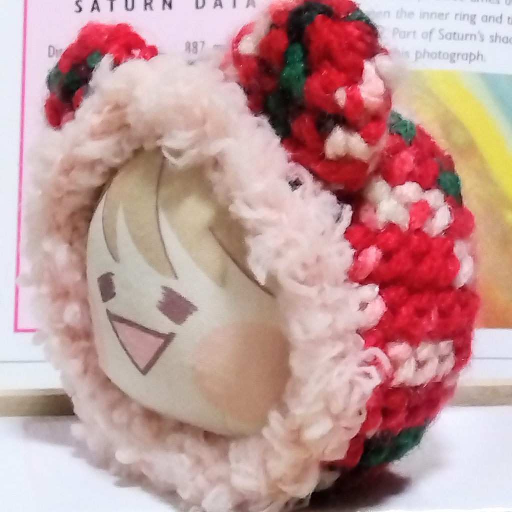 あにずきん用 着ぐるみ ハッピーホリデー