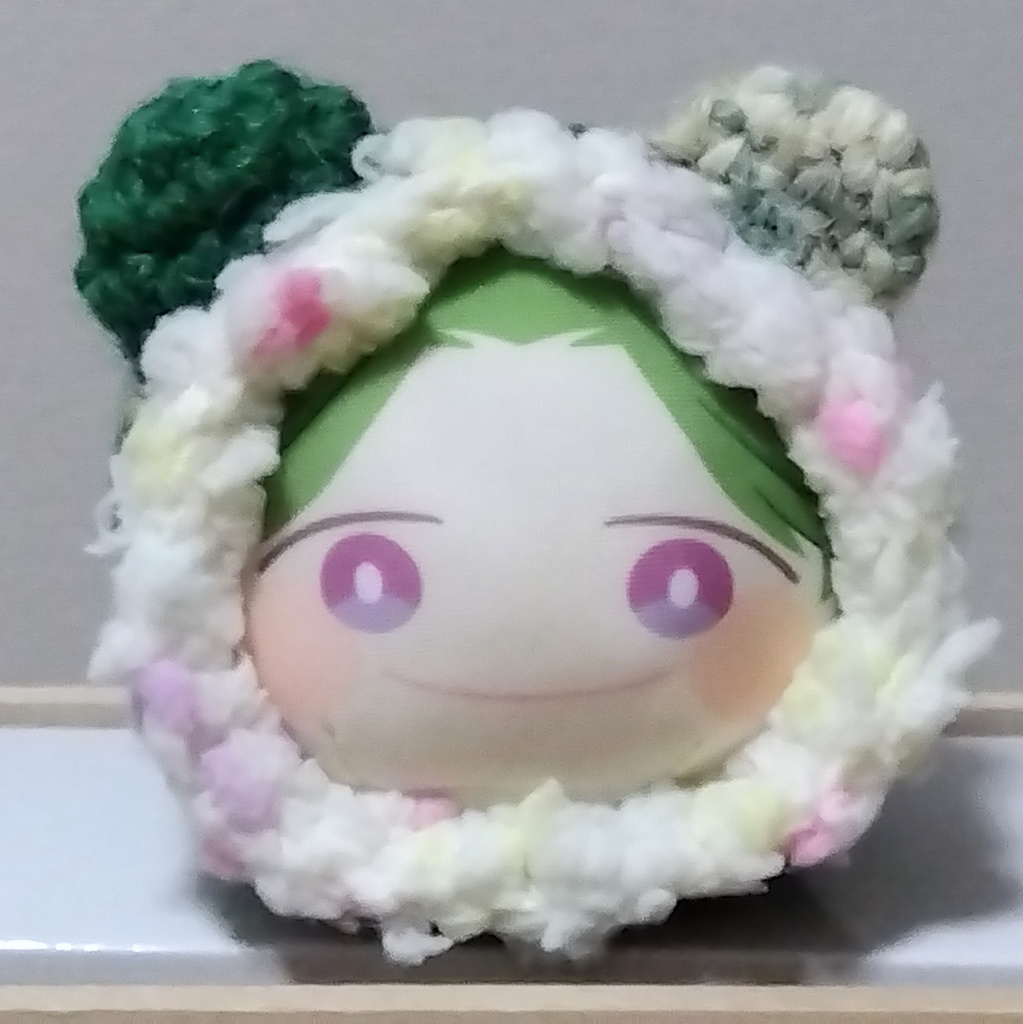 推しカラー 緑 グリーン あにずきん用着ぐるみ