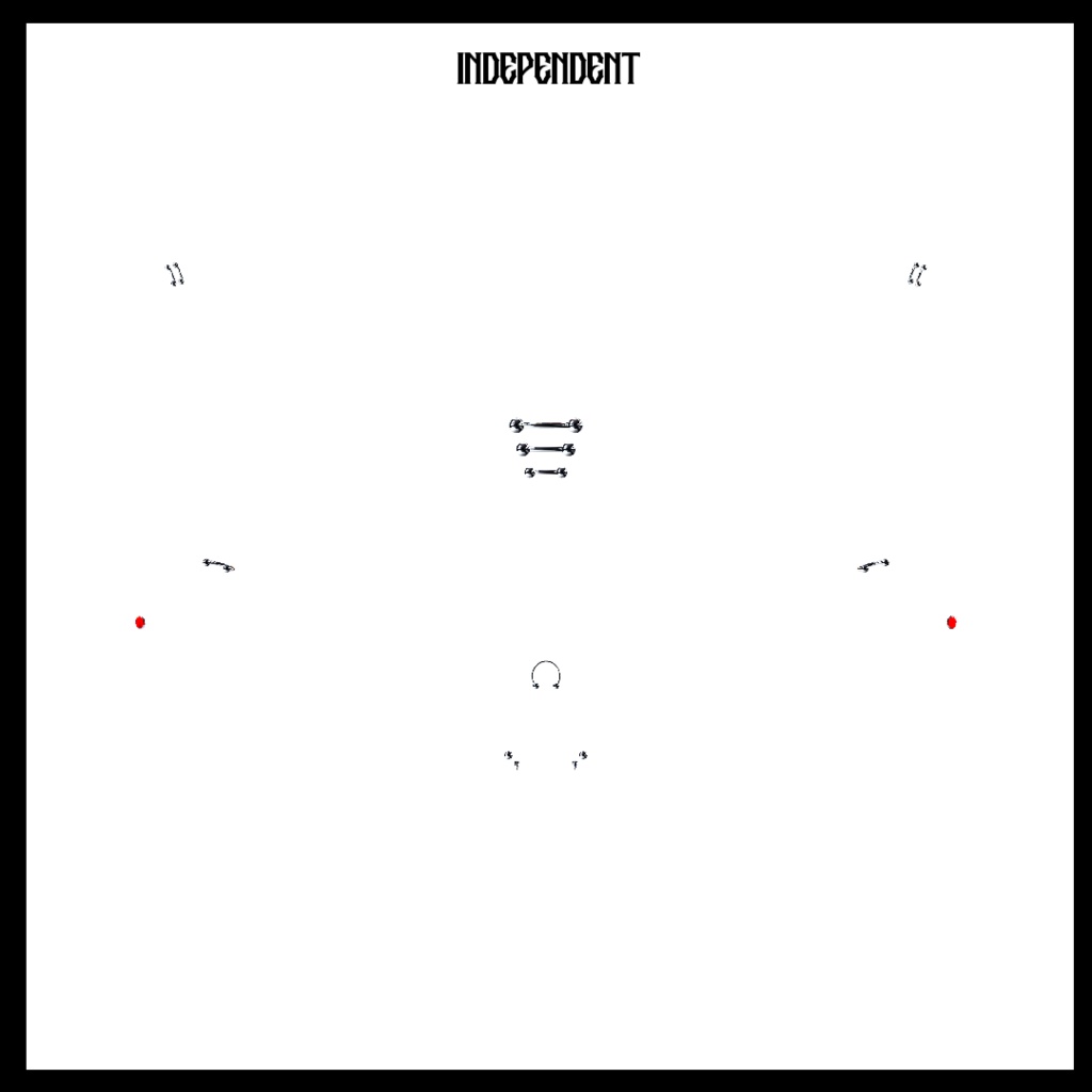 Shinano Piercing Set / イヤリング (FREE / GIFT)