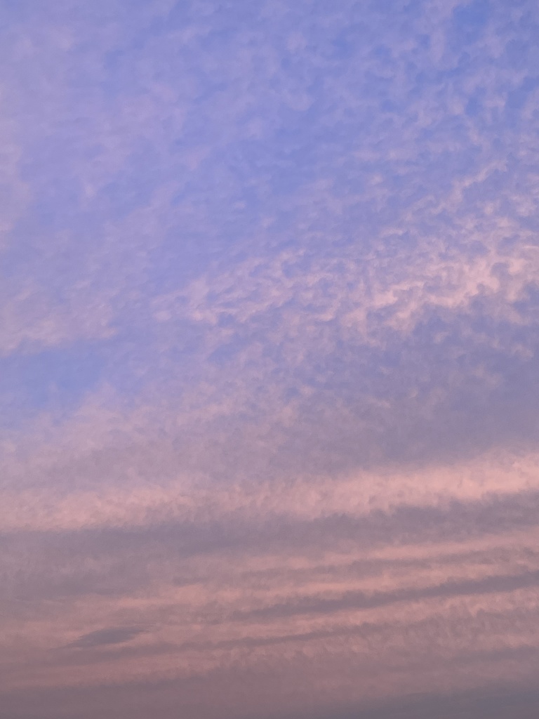 桃紫の余韻 – Morning Sky #03