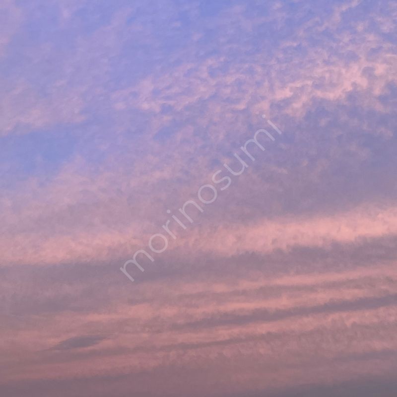 桃紫の余韻 – Morning Sky #03