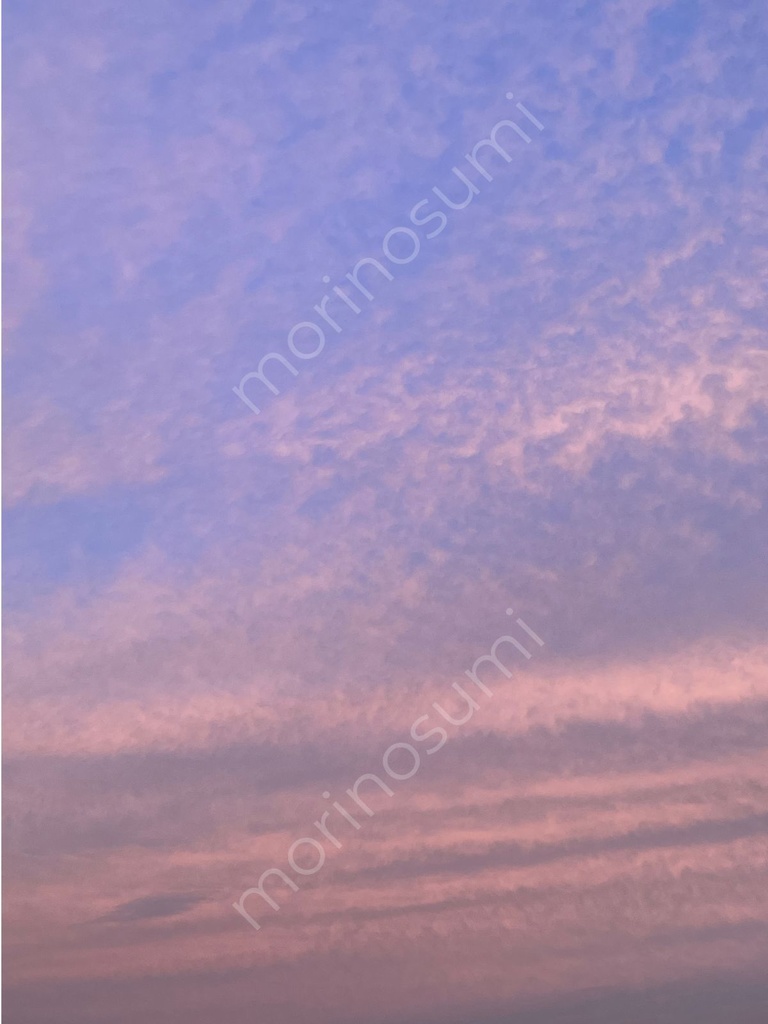 桃紫の余韻 – Morning Sky #03