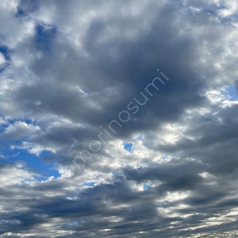 雲の原野 – Morning Sky #12