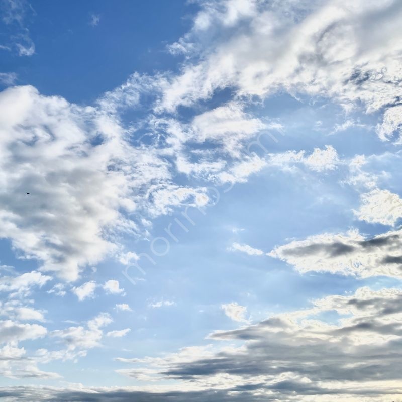 風をまとった白雲 – Morning Sky #13