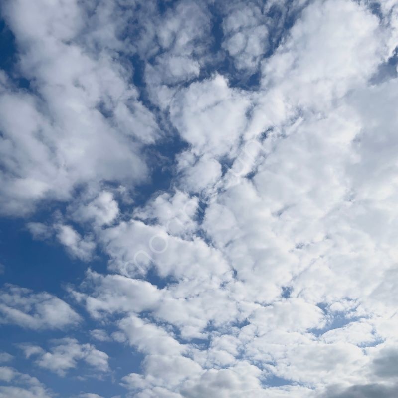 群れ雲のひらけ – Morning Sky #18