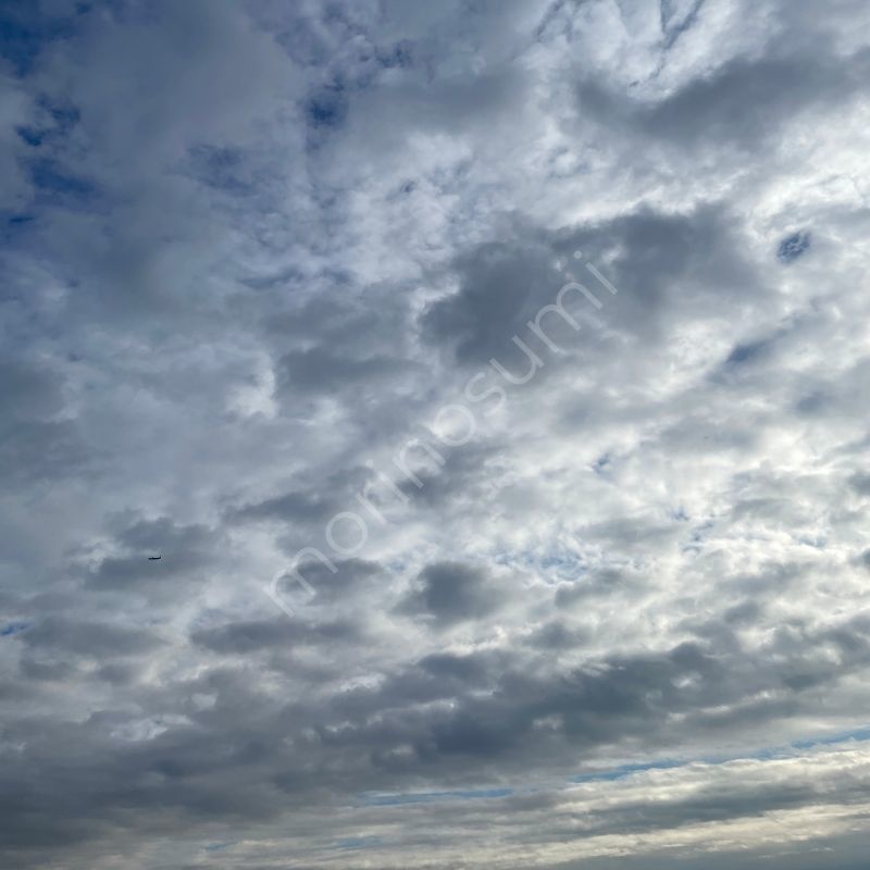 雲間をゆく – Morning Sky #22