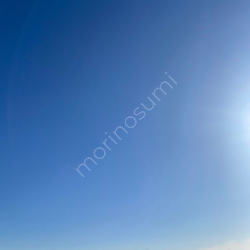 ひかりへ向かう – Morning Sky #25