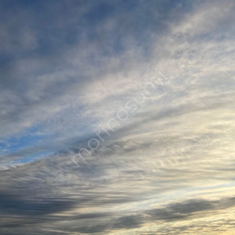 ゆるやかなはじまり – Morning Sky #26