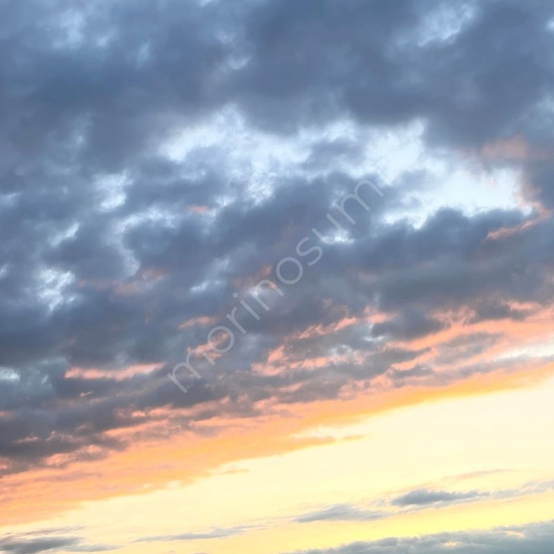 ひかりの縁（ふち） – Morning Sky #29