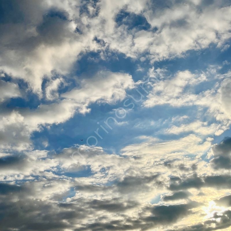 ひらかれた層 – Morning Sky #30