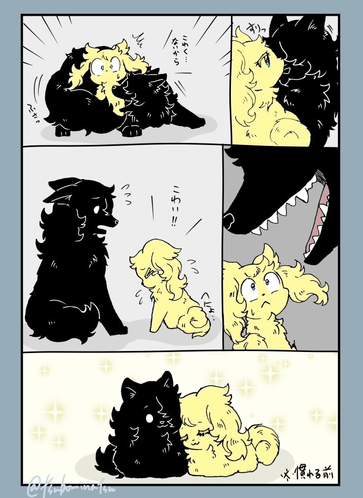 【訳アリ】Oh,myわんわんどれ!