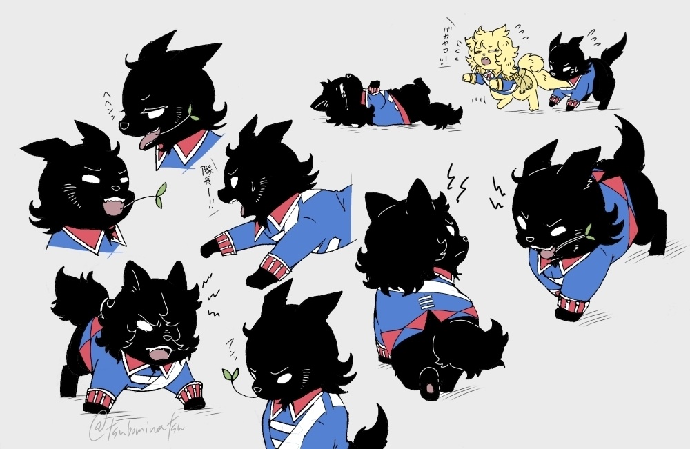 【訳アリ】Oh,myわんわんどれ!