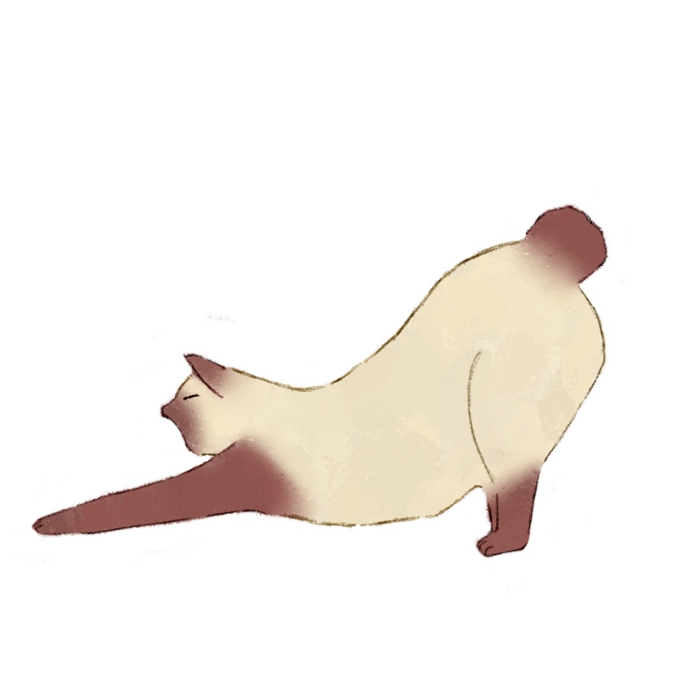 【商用利用可】猫イラスト素材