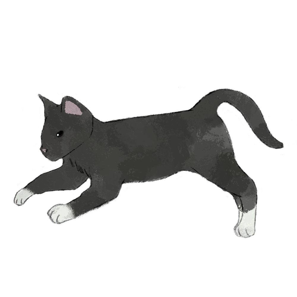 【商用利用可】猫イラスト素材