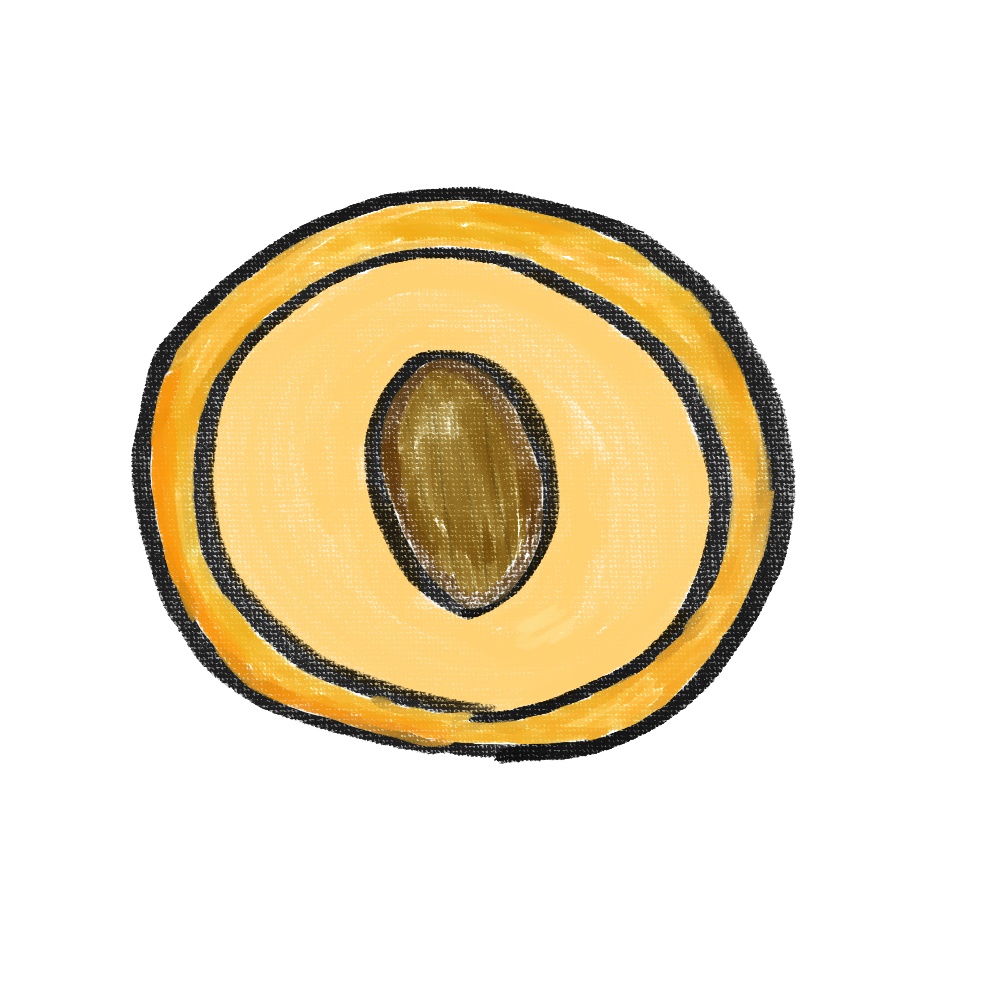 【商用利用OK】クッキーイラスト素材