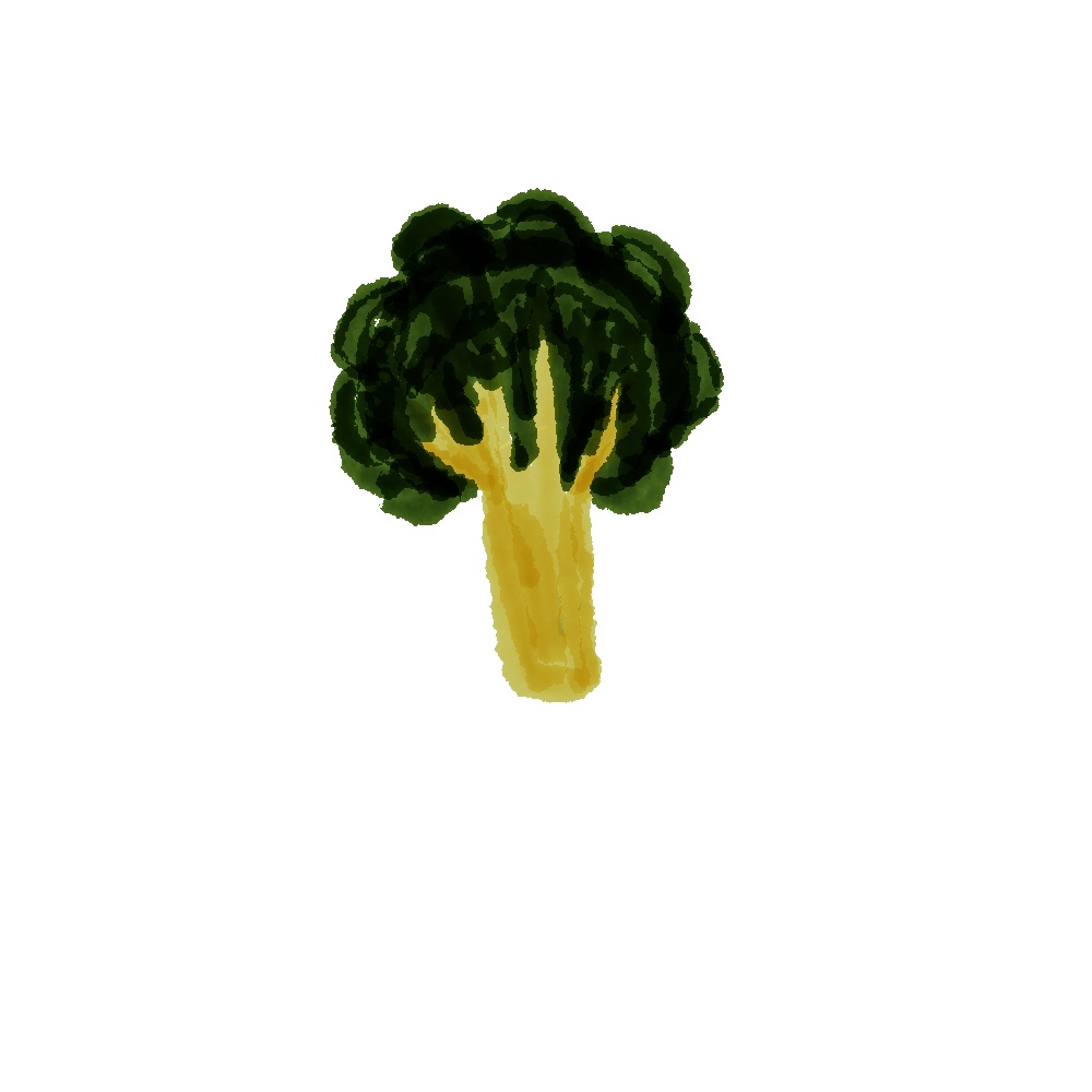 【商用利用OK】お弁当素材