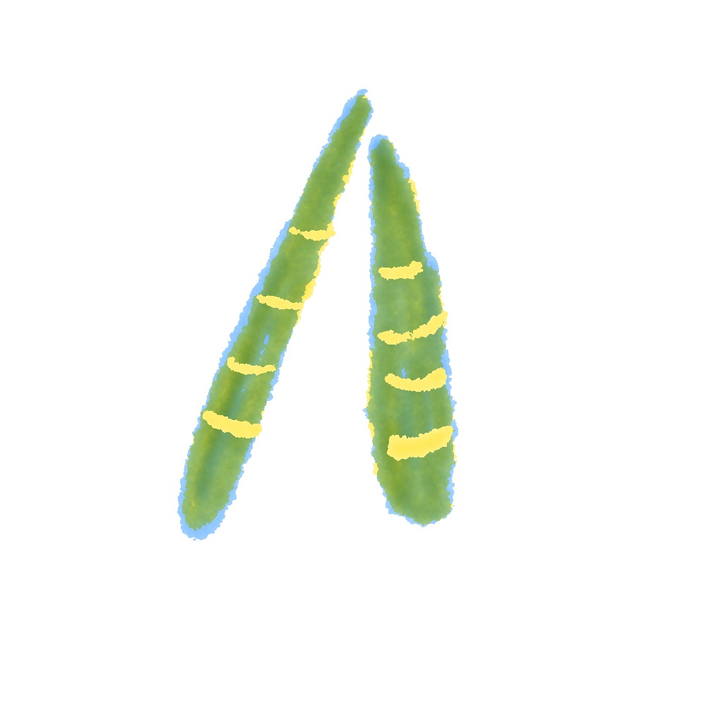 【商用利用OK】こどもの日素材