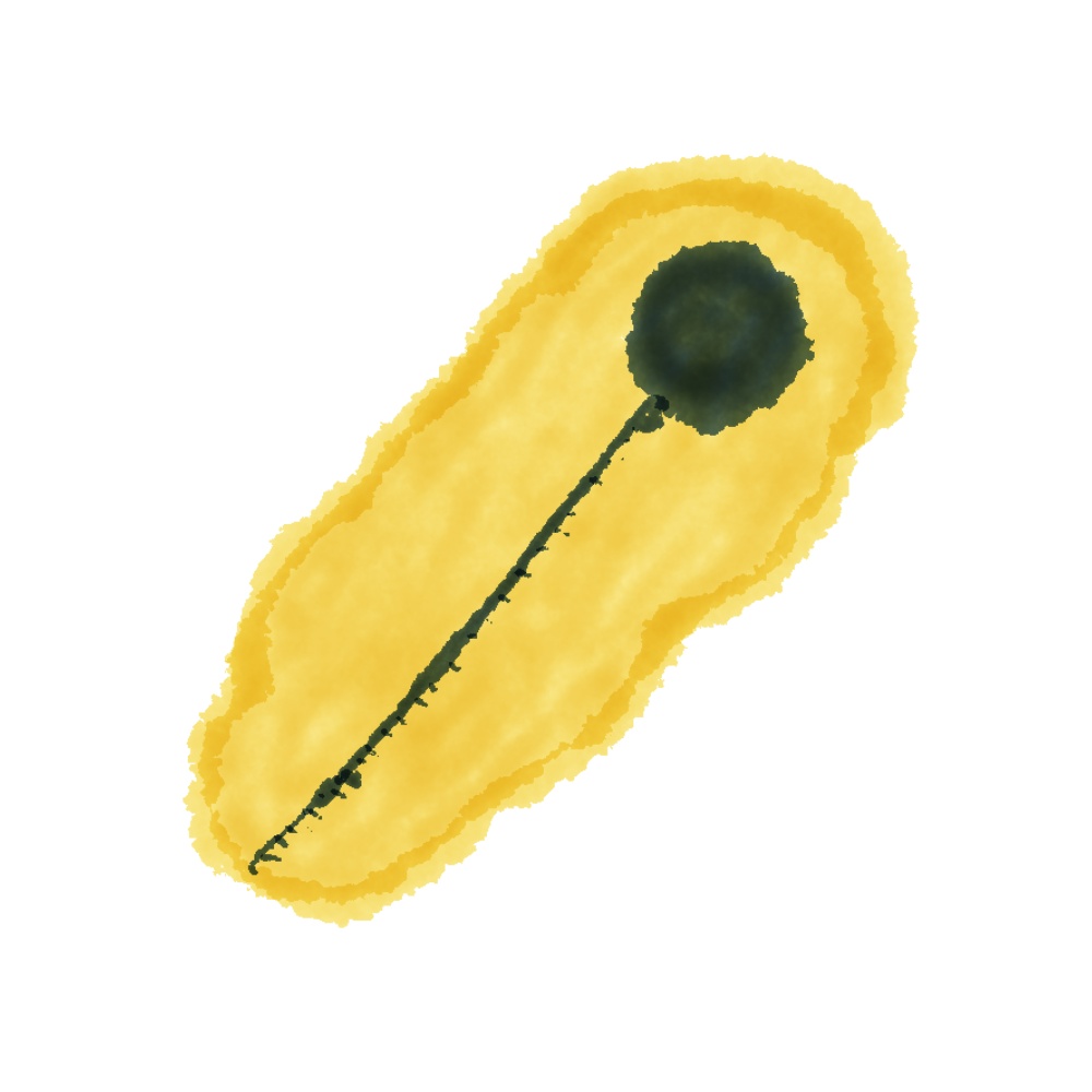 【商用利用OK】キャンプ素材