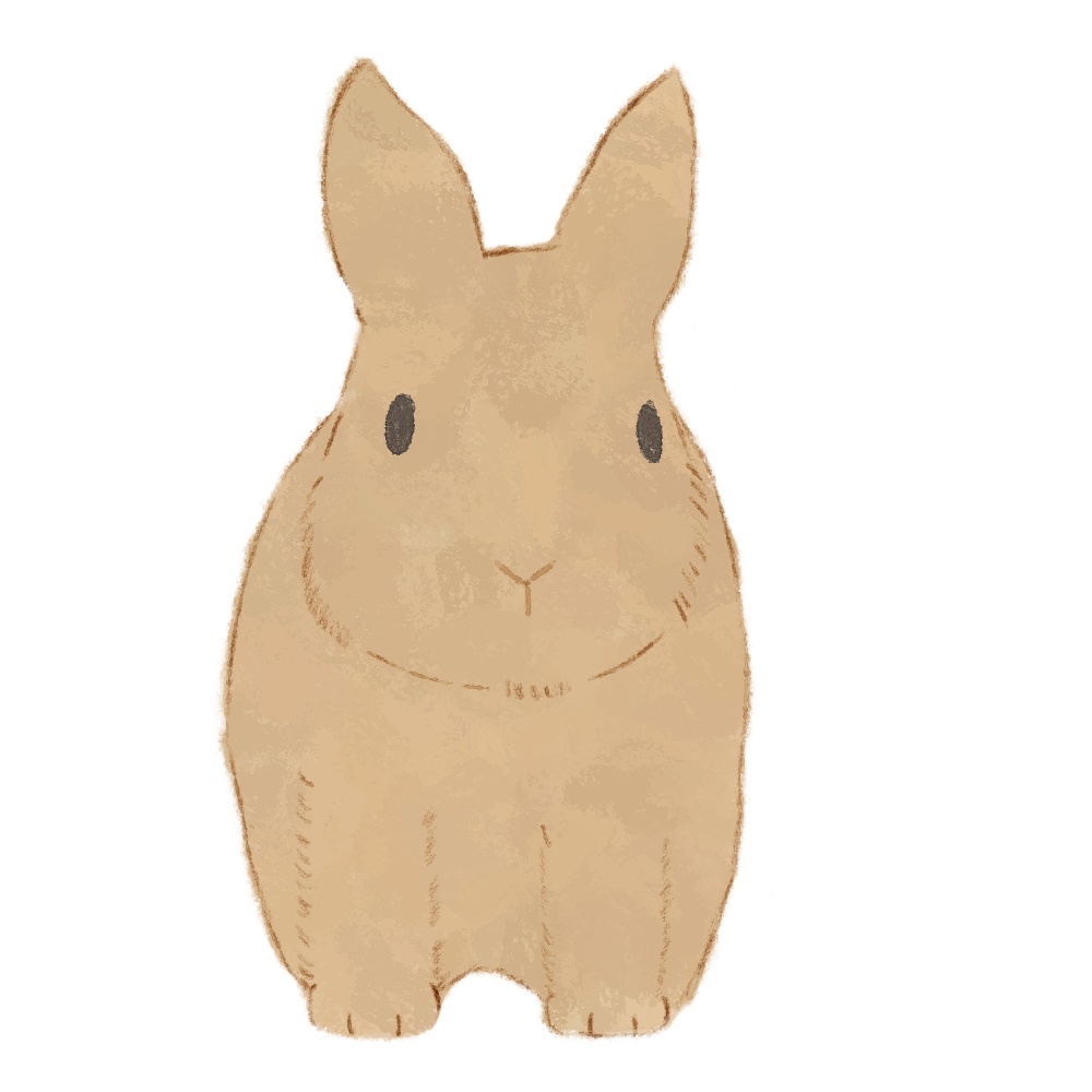 【商用利用OK】うさぎイラスト素材