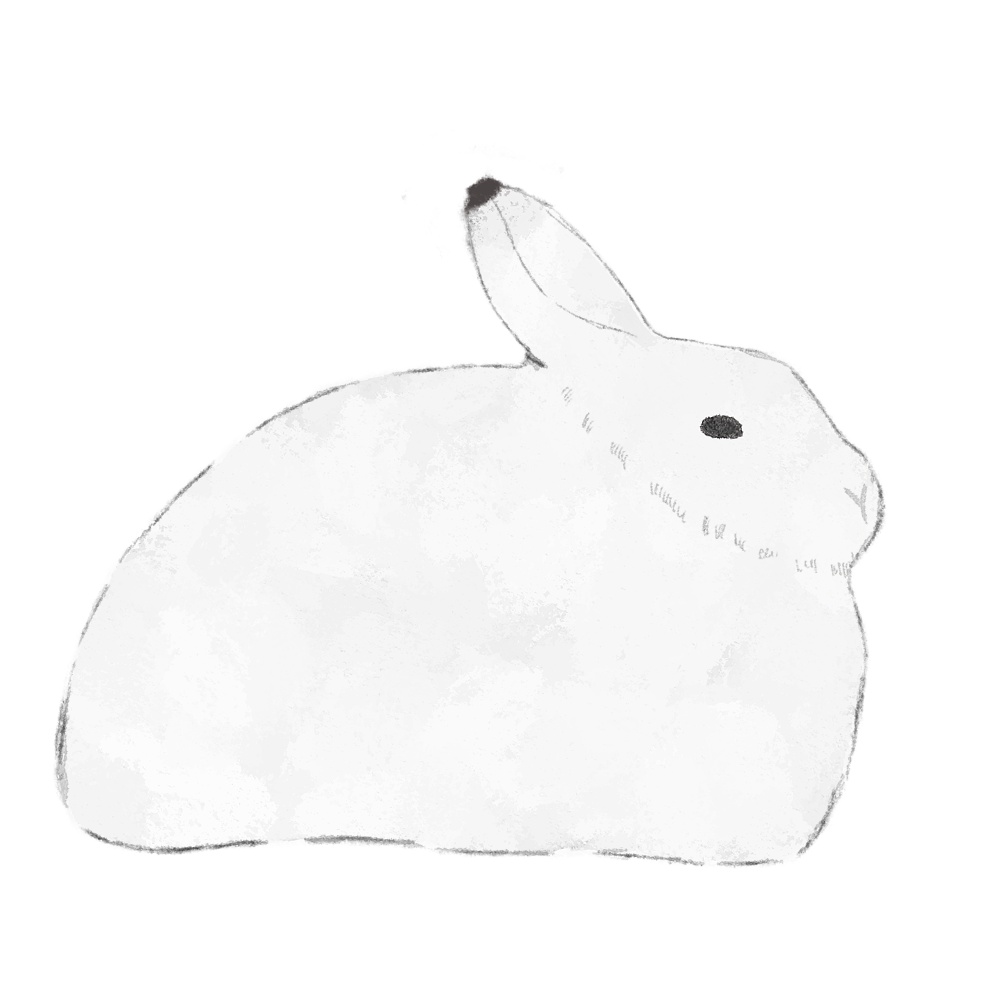 【商用利用OK】うさぎイラスト素材