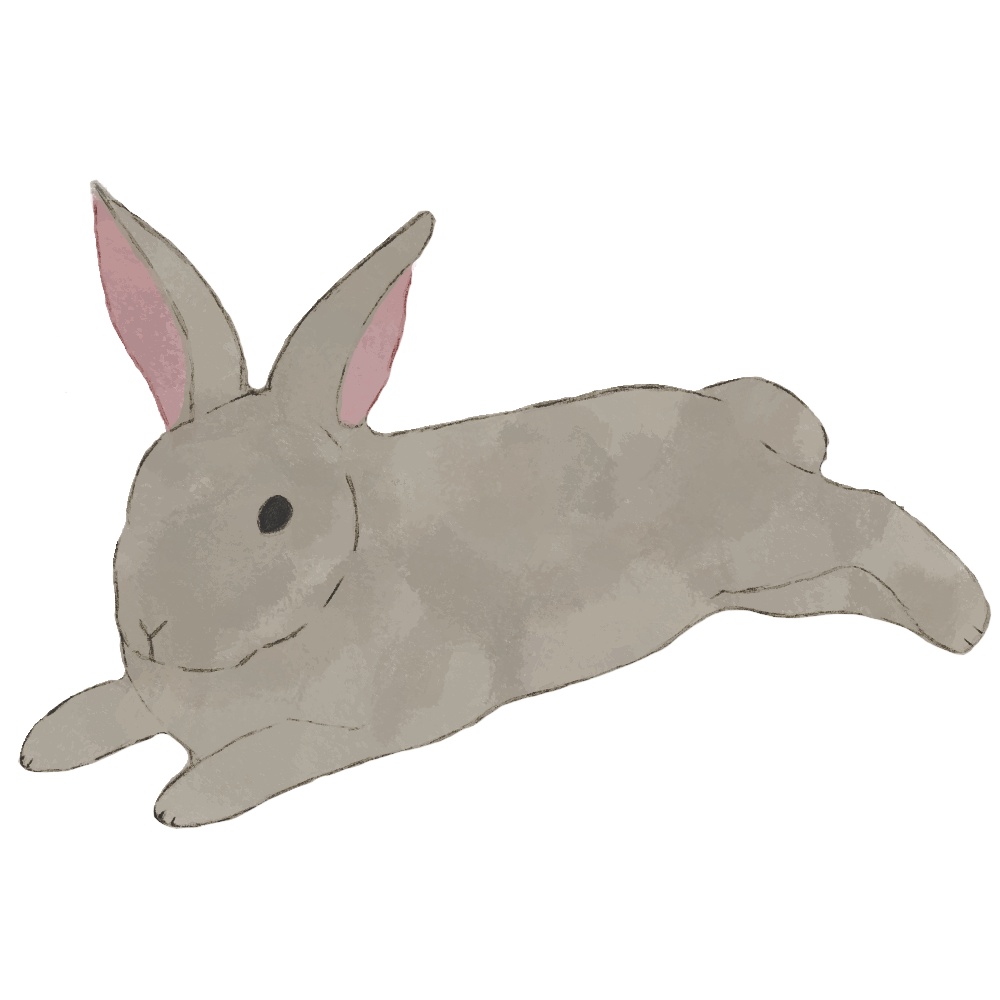 【商用利用OK】うさぎイラスト素材