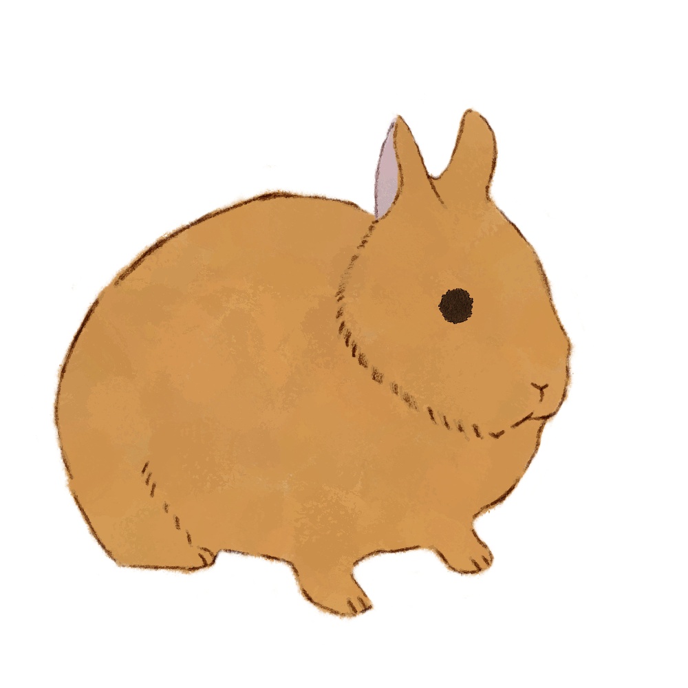 【商用利用OK】うさぎイラスト素材