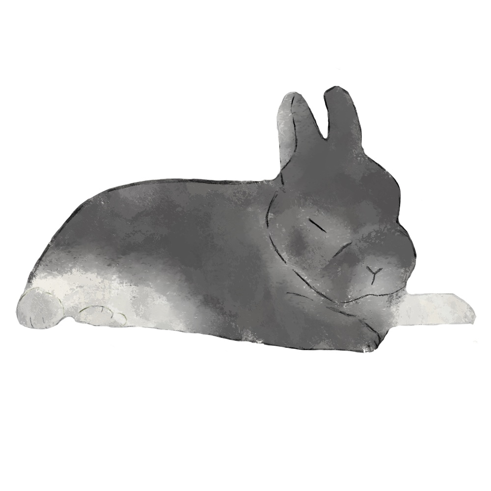 【商用利用OK】うさぎイラスト素材