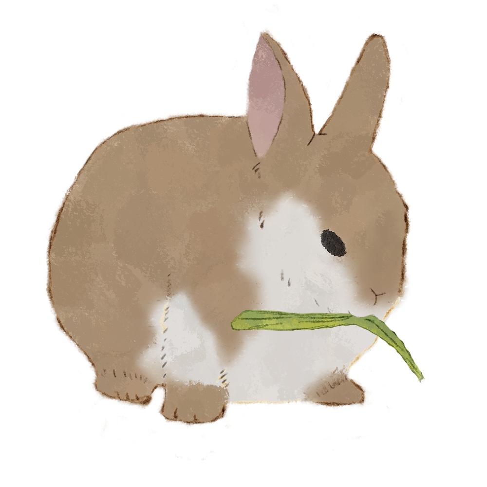【商用利用OK】うさぎイラスト素材
