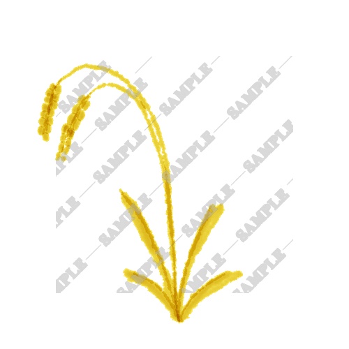 【商用利用OK】秋の味覚素材