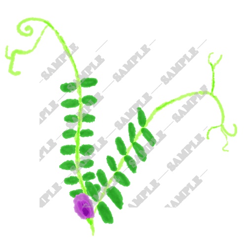【商用利用OK】雑草素材15点