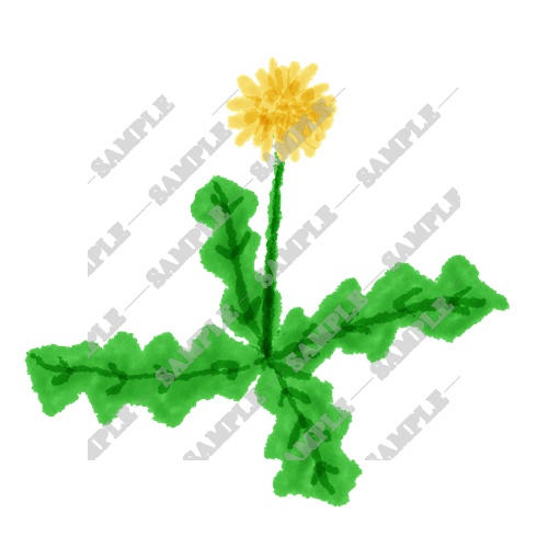 【商用利用OK】雑草素材15点