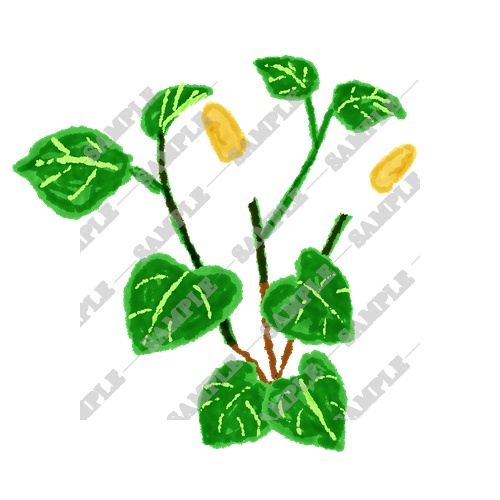 【商用利用OK】雑草素材15点